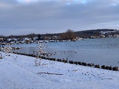 birds @ Beach Canandaigua Lake, NY; ODW